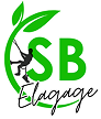 SB Elagage | Élagueur à Meaux