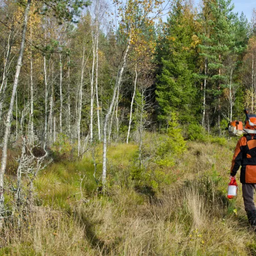 Élagage à Meaux avec SB Elagage : votre expert en entretien de jardin, Meaux, SB Elagage