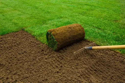 Engazonnement à Meaux avec SB Elagage, Meaux, SB Elagage
