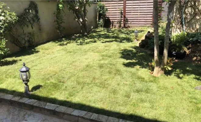 Travaux d'entretien de jardin, Meaux, SB Elagage