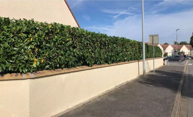 Travaux d'entretien de jardin, Meaux, SB Elagage