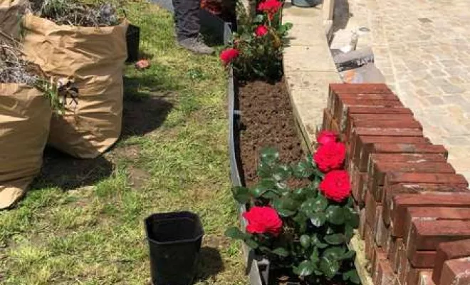 Travaux d'entretien de jardin, Meaux, SB Elagage