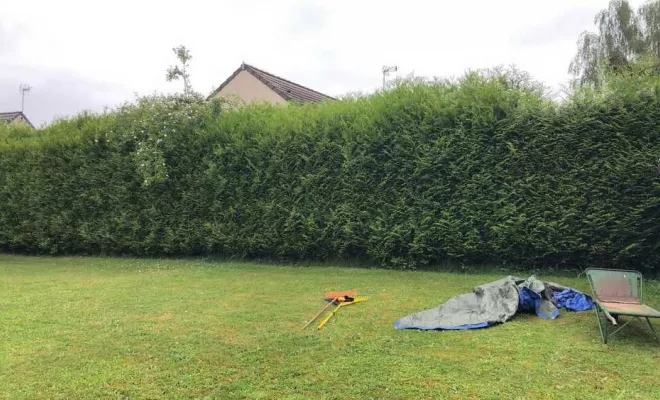 Travaux d'entretien de jardin, Meaux, SB Elagage