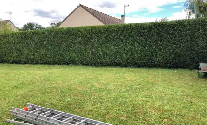 Travaux d'entretien de jardin, Meaux, SB Elagage